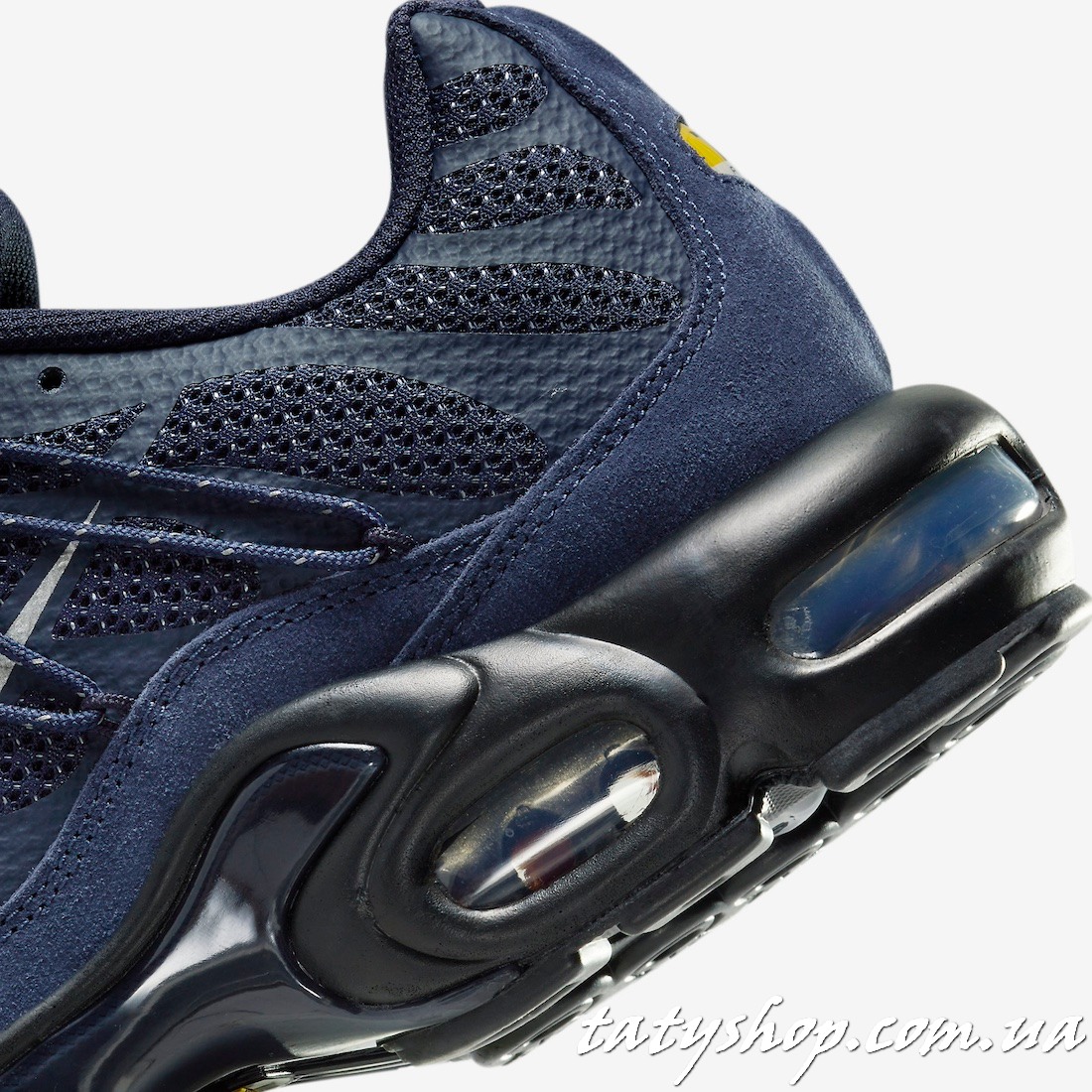 Кросівки Nike Air Max Plus Utility Blue