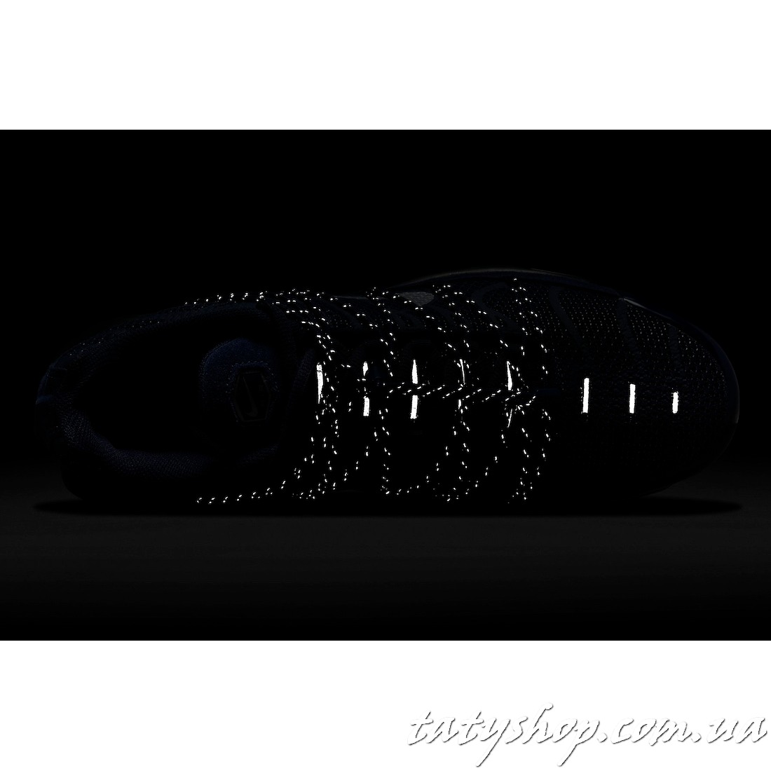 Кросівки Nike Air Max Plus Utility Blue