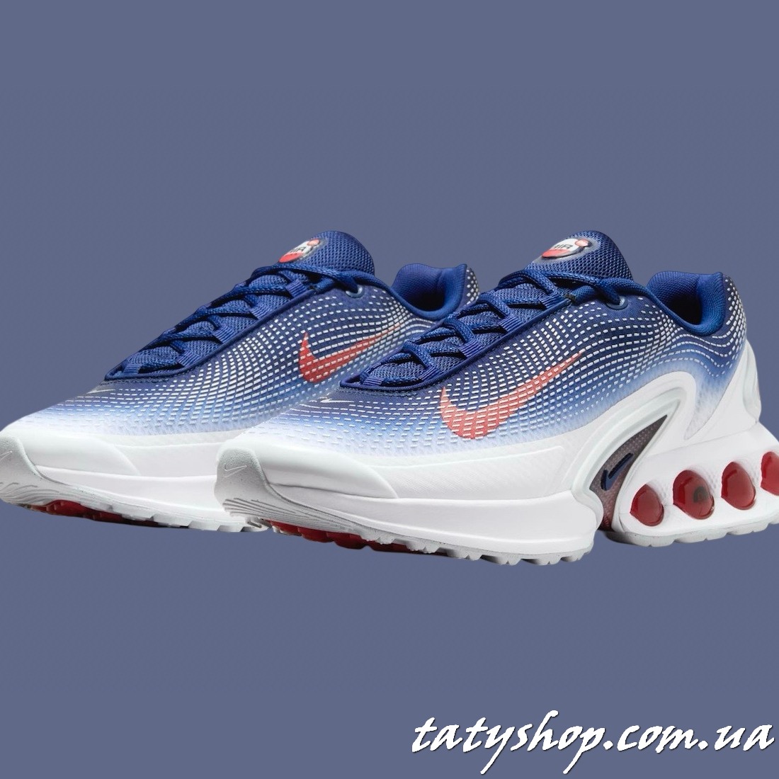 Кросівки Nike Air Max Dn Shoes Blue/White