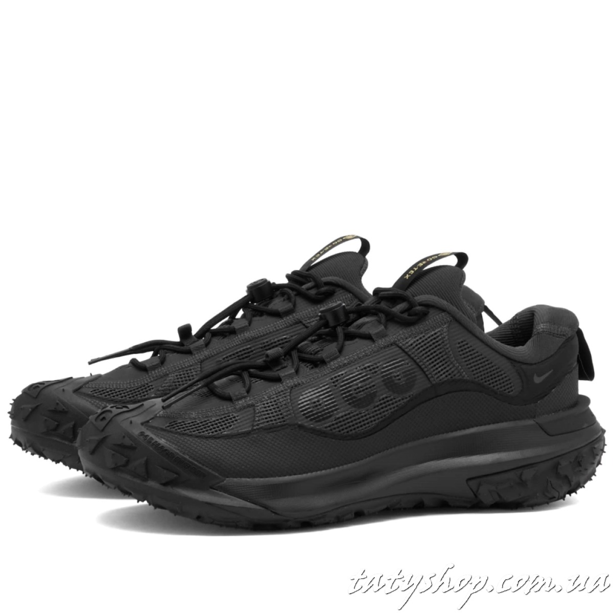 Кросівки Nike Acg Mountain Fly 2 Low Gtx Sneaker Black