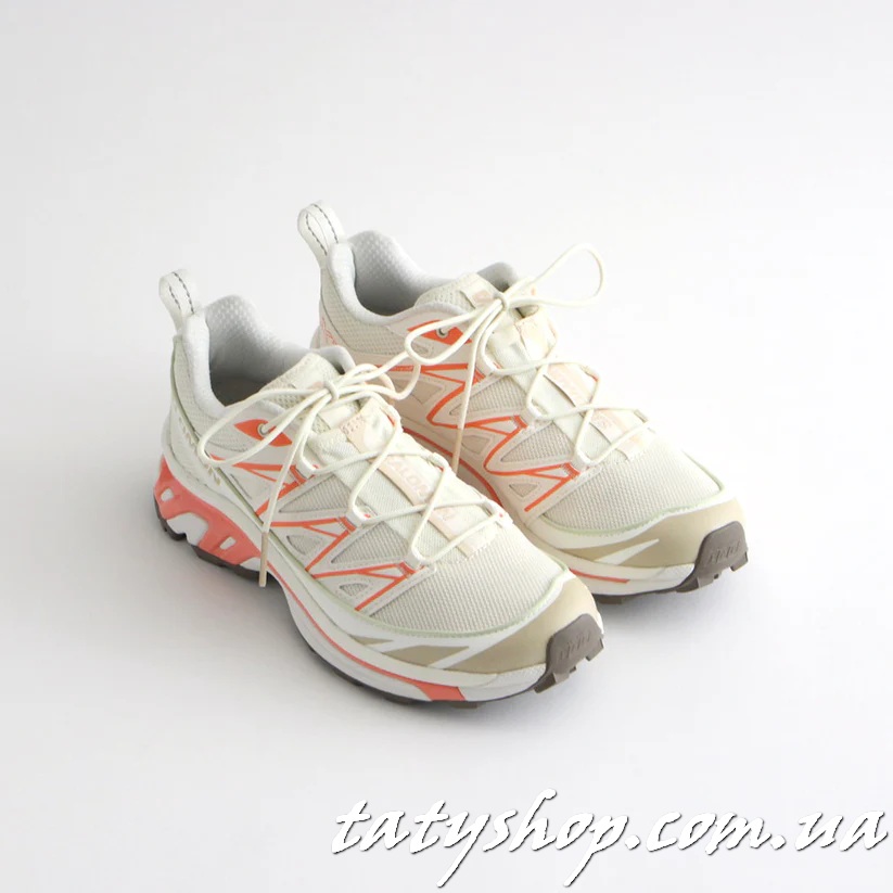 Кросівки Salomon Xt-6 Expanse Beige