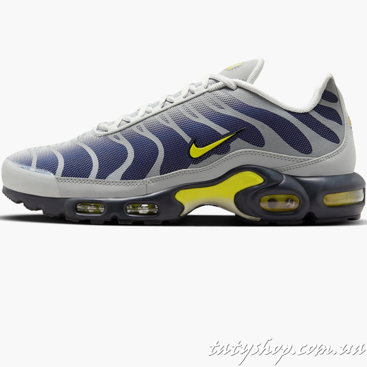Кросівки Nike Air Max Plus Grey/Violet