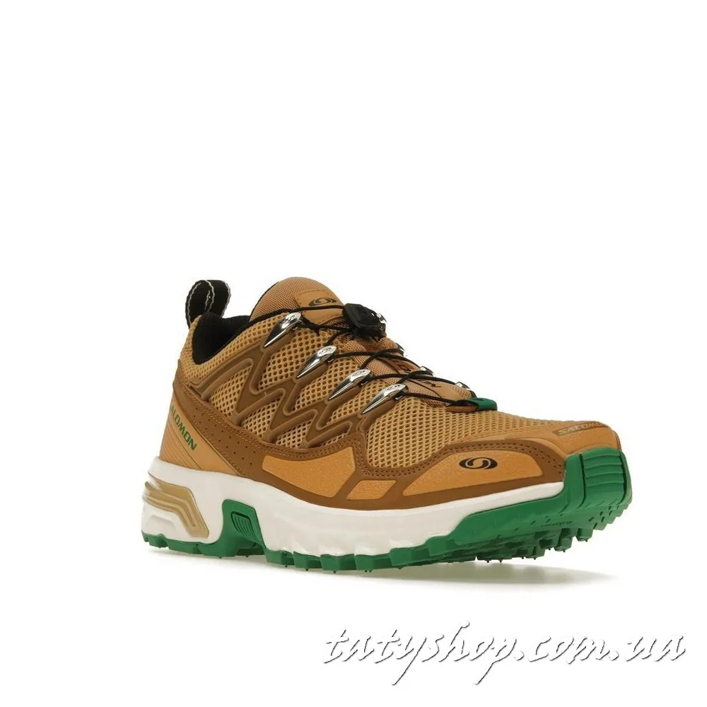 Кросівки Salomon ACS+OG