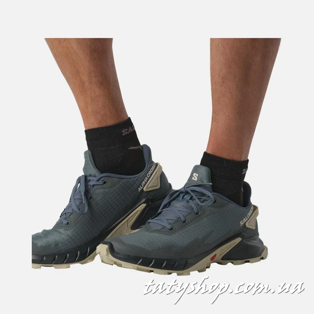 Кросівки Salomon Alphacross 4