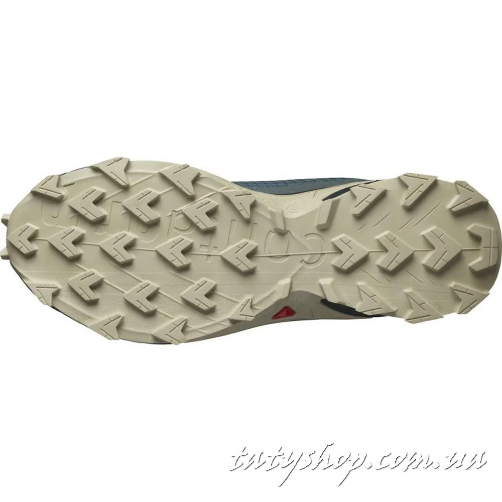 Кросівки Salomon Alphacross 4